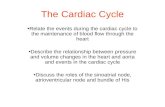 The Cardiac Cycle Relate the events during the cardiac cycle to the maintenance of blood flow through the heart Describe the relationship between pressure.