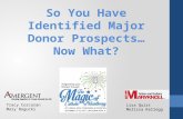 So You Have Identified Major Donor Prospects… Now What? Tracy Corcoran Mary Bogucki Lisa Quist Melissa Kellogg.