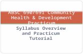 Syllabus Overview and Practicum Tutorial ABSC 690/691 Community Health & Development Practicum.