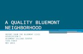 A QUALITY BLUEMONT NEIGHBORHOOD REPORT FROM THE BLUEMONT CIVIC ASSOCIATION’S BLUEMONT VILLAGE CENTER TASK FORCE MAY 2014.