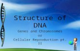 Genes and Chromosomes or Cellular Reproduction pt. II.