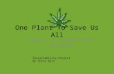 One Plant To Save Us All Hemp as a sustainable resource Sustainability Project By Chyna Barr.