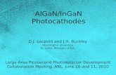 AlGaN/InGaN Photocathodes D.J. Leopold and J.H. Buckley Washington University St. Louis, Missouri, U.S.A. Large Area Picosecond Photodetector Development.
