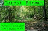 Forest Biomes  By: Jackson Dell'Abate, Kara Kalinski, Kristen Moy, Maggie Sweeney, Deidre D'Amico.