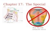 Chapter 17: The Special Senses Muse Bio 2440 Lecture #4 5/21/13.