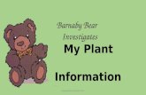 Barnaby Bear Investigates My Plant Information - Geographical Association 2014.