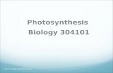 Prof. Dr. Samih Tamimi Bio 304101 Photosynthesis Biology 304101.