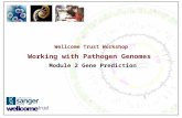 Wellcome Trust Workshop Working with Pathogen Genomes Module 2 Gene Prediction.