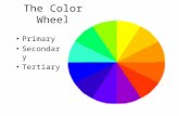 The Color Wheel Primary Secondary Tertiary. Primary Colors Yellow Red Blue.