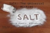 Salt: The Universal History Allie Pierce, Elizabeth Horn, Lexa Barrott Image from: theshiksa.com.