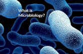 What is Microbiology? Introduction What is Microbiology?