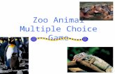 Zoo Animal Multiple Choice Game. A) Grizzly Bear B) Panda Bear C) Black Bear D) Polar Bear 1. ©San Diego Zoo.
