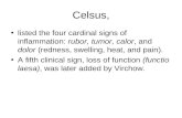 Celsus, listed the four cardinal signs of inflammation: rubor, tumor, calor, and dolor (redness, swelling, heat, and pain). A fifth clinical sign, loss.
