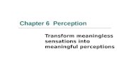 Chapter 6 Perception Transform meaningless sensations into meaningful perceptions.