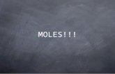 MOLES!!!. Atomic mass Review the mass of an atom expressed in atomic mass units is an average of the isotopes for that element listed on the periodic.