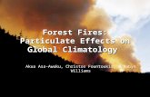 Forest Fires: Particulate Effects on Global Climatology Akua Asa-Awuku, Christos Fountoukis, & Robyn Williams.