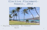 Elective Placement- Hawaii, 2012 Hayley Fallows & Claire Nutt.