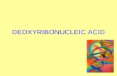 DEOXYRIBONUCLEIC ACID. DNA DNA—deoxyribonucleic acid A.Controls the production of proteins in a cell. B.Every new cell that is developed needs an exact.