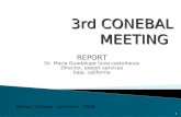 1 3rd CONEBAL MEETING REPORT Dr. Maria Guadalupe licea castellanos Director, expert services baja, california Merida, Yucatan november 2009.