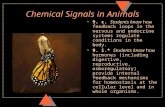 Chemical Signals in Animals u 9. c. Students know how feedback loops in the nervous and endocrine systems regulate conditions in the body. u 9. i.* Students.