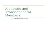 Algebraic and Transcendental Numbers Dr. Dan Biebighauser.
