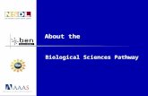About the Biological Sciences Pathway. Goals of the NSDL Biological Sciences Pathway The BiosciEdNet (BEN) Collaborative is working with the CI and other.
