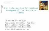 BSc Information Technology Management for Business (ITMB) Dr Oscar De Bruijn Programme Director for BSc Information Technology Management for Business.