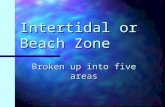 Intertidal or Beach Zone Broken up into five areas.