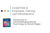 CHAPTER 6 Employee Training and Development Introduction to Industrial/Organizational Psychology by Ronald Riggio.