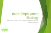 Youth Employment Strategy TRANSITION TO WORK (TTW) – FEDERAL GOVERNMENT INITIATIVE Industry Consultation.