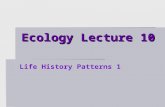Ecology Lecture 10 Life History Patterns 1. Topics covered (both Life History Lectures)  Sexual selection  What criteria do individuals use to choose.
