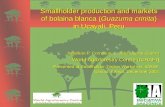Smallholder production and markets of bolaina blanca (Guazuma crinita) in Ucayali, Peru Jonathan P. Cornelius, L. Julio Ugarte-Guerra World Agroforestry.