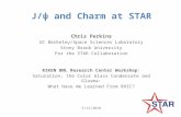 J/ψ and Charm at STAR Chris Perkins UC Berkeley/Space Sciences Laboratory Stony Brook University For the STAR Collaboration RIKEN BNL Research Center Workshop: