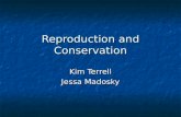 Reproduction and Conservation Kim Terrell Jessa Madosky.