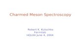 Charmed Meson Spectroscopy Robert K. Kutschke Fermilab HQL04 June 4, 2004.