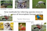 New methods for inferring species trees in the presence of incomplete lineage sorting Tandy Warnow The University of Illinois.