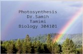 Photosynthesis Dr.Samih Tamimi Biology 304101 Structures  Photosynthesis occurs only in plants and a small number of single-celled organisms (like algae).