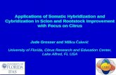 Applications of Somatic Hybridization and Cybridization in Scion and Rootstock Improvement with Focus on Citrus Jude Grosser and Milica Ćalović University.