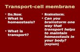Transport-cell membrane Do Now : What is homeostasis? What is transport? Brainstorm : Can you brainstorm one way that transport helps to maintain homeostasis.