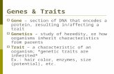 Genes & Traits  Gene – section of DNA that encodes a protein, resulting in/affecting a trait  Genetics – study of heredity, or how organisms inherit.