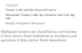 Cancer Tumor Cells and the Onset of Cancer Metastatic Tumor Cells Are Invasive and Can Spread Benign; Malignant; Metastasis Malignant tumors are classified.