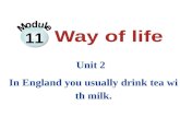 11 Unit 2 In England you usually drink tea with milk.