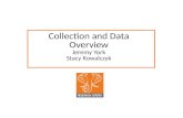Collection and Data Overview Jeremy York Stacy Kowalczyk.