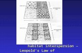 Habitat interspersion – Leopold’s Law of Interspersion.