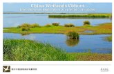 China Wetlands Cohort First University Phase: Week 2 (11/8/10 – 11/12/10)