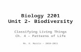 Biology 2201 Unit 2- Biodiversity Classifying Living Things Ch. 4 – Patterns of Life Ms. K. Morris – 2010-2011.