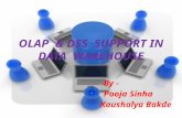 OLAP & DSS SUPPORT IN DATA WAREHOUSE By - Pooja Sinha Kaushalya Bakde.