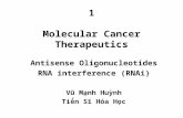 1 Molecular Cancer Therapeutics Antisense Oligonucleotides RNA interference (RNAi) Vũ Mạnh Huỳnh Tiến Sĩ Hóa Học.