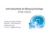 Introduction to Biopsychology [PSB 4002] Professor Robert Lickliter DM 294 / 305-348-3441 licklite@fiu.edu website: dpblab.fiu.edu.