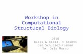 Workshop in Computational Structural Biology 2015 81855 & 81813, 4 points Ora Schueler-Furman TA: Orly Marcu.
